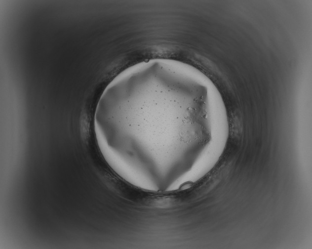 X0000100900456200807151121