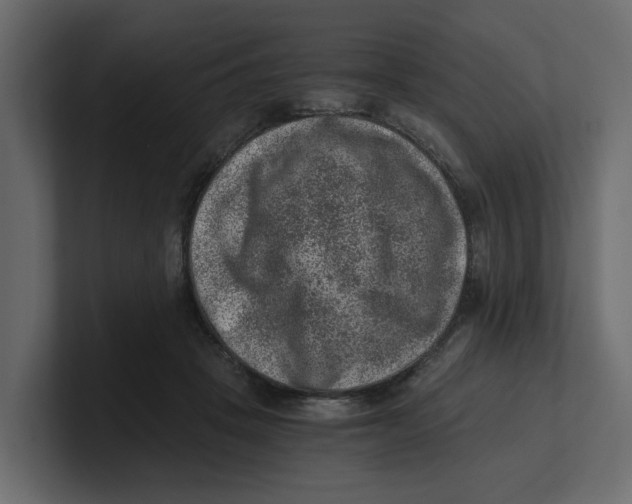 X0000100900457200807151121