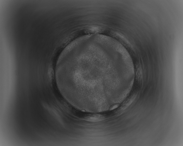 X0000100900459200807151121