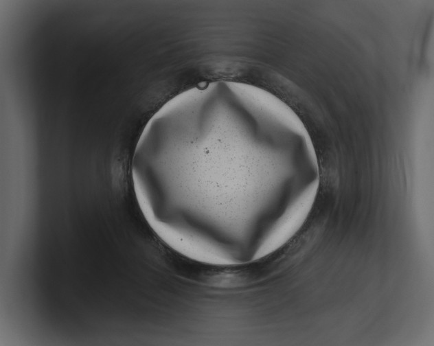 X0000100900460200807151121