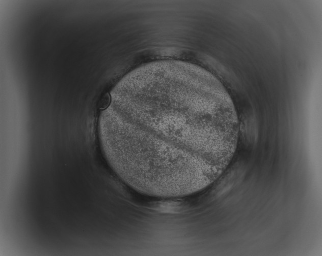 X0000100900462200807151121