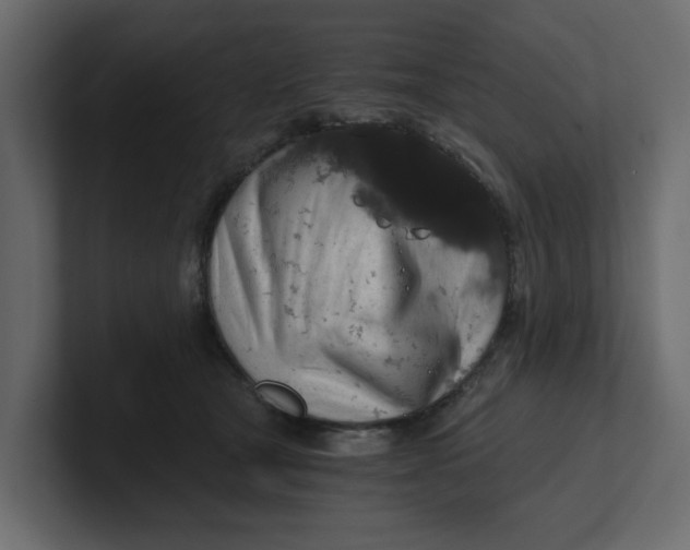 X0000100900465200807151121