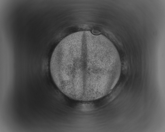 X0000100900466200807151121