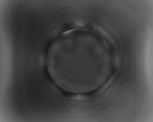 X0000100900467200807151121