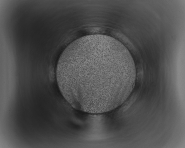 X0000100900469200807151121