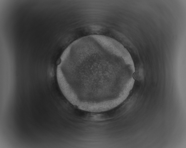 X0000100900472200807151121