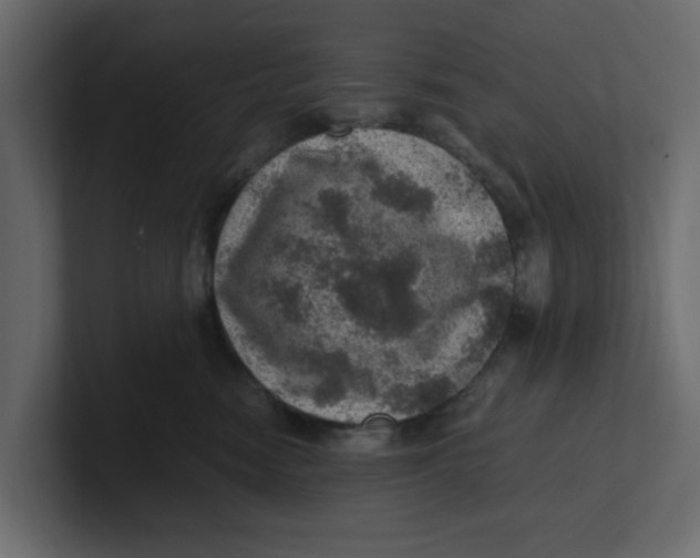 X0000100900474200807151121