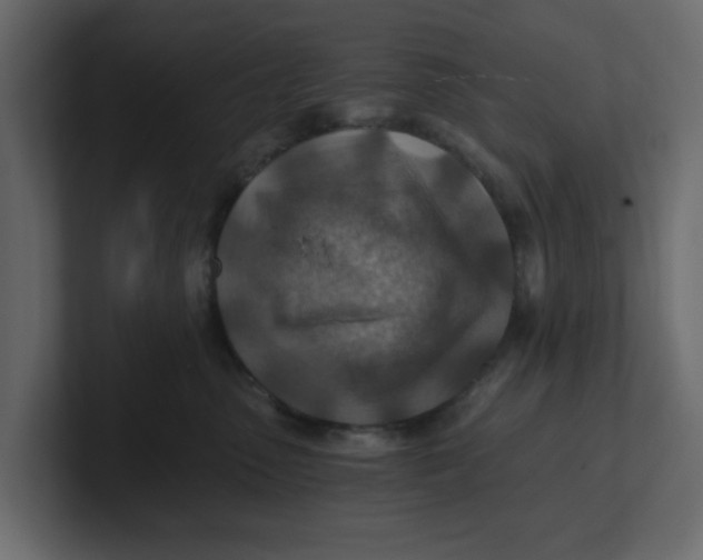 X0000100900475200807151121