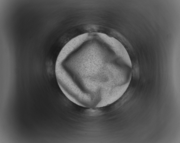 X0000100900477200807151121