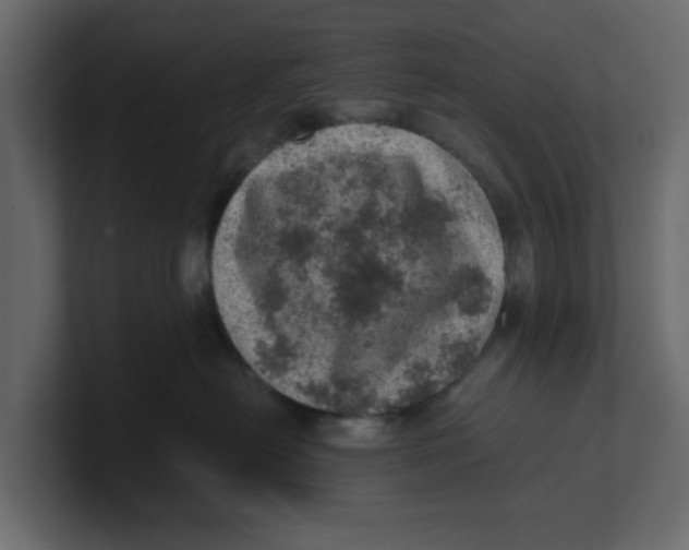 X0000100900478200807151121