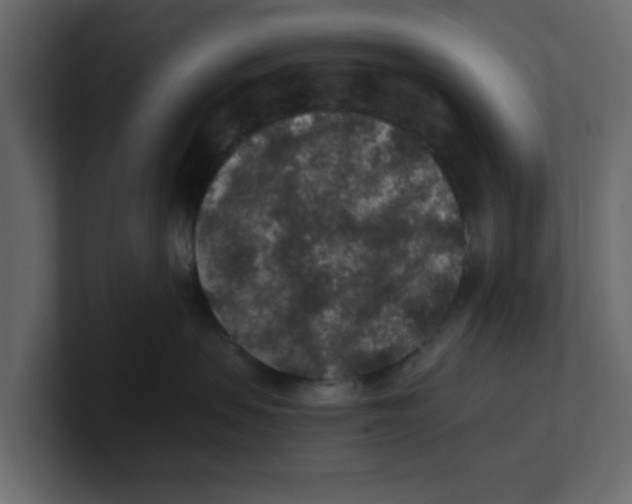 X0000100900479200807151121