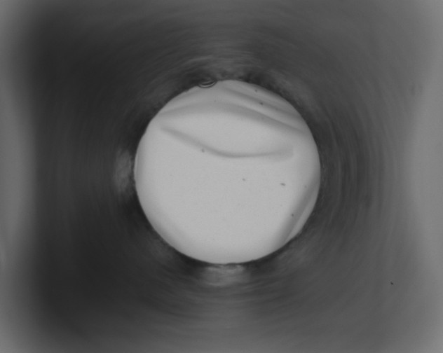 X0000100900480200807151122