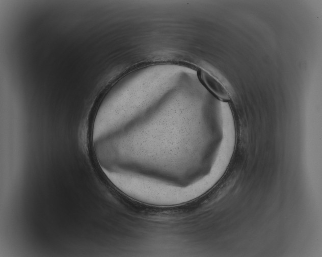 X0000100900485200807151121