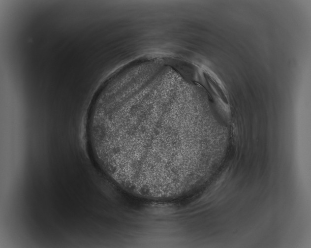 X0000100900487200807151121