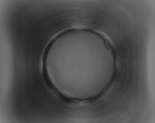 X0000100900488200807151121