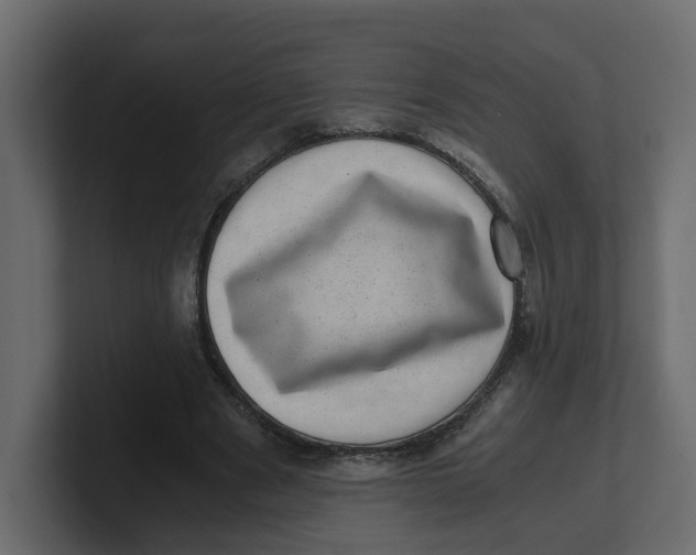 X0000100900489200807151121