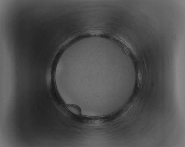 X0000100900492200807151121