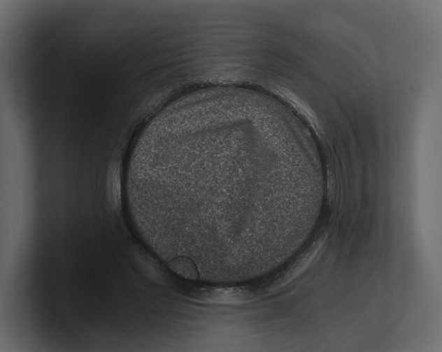 X0000100900493200807151121