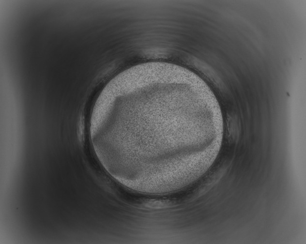 X0000100900494200807151121