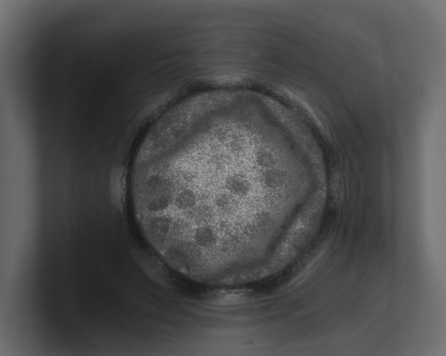 X0000100900495200807151121