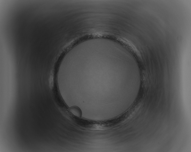 X0000100900496200807151121