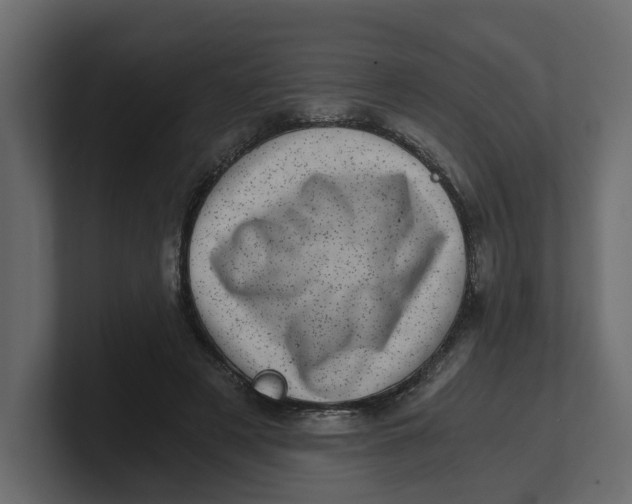 X0000100900497200807151121