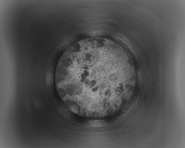 X0000100900499200807151121