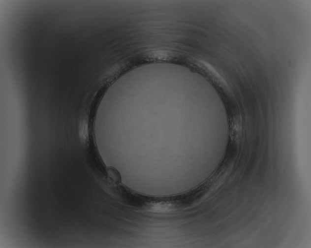 X0000100900500200807151121