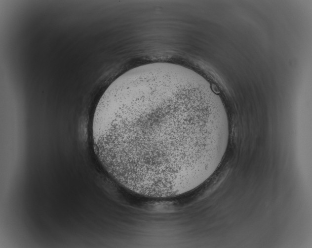 X0000100900501200807151121