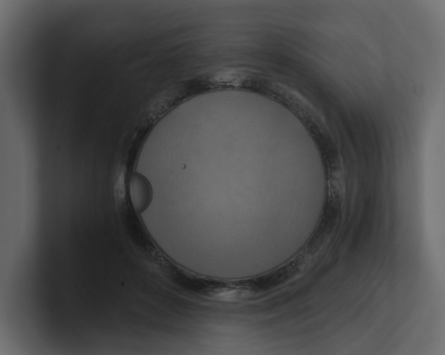 X0000100900504200807151121