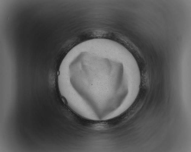 X0000100900505200807151121