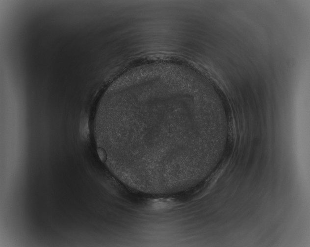 X0000100900508200807151121