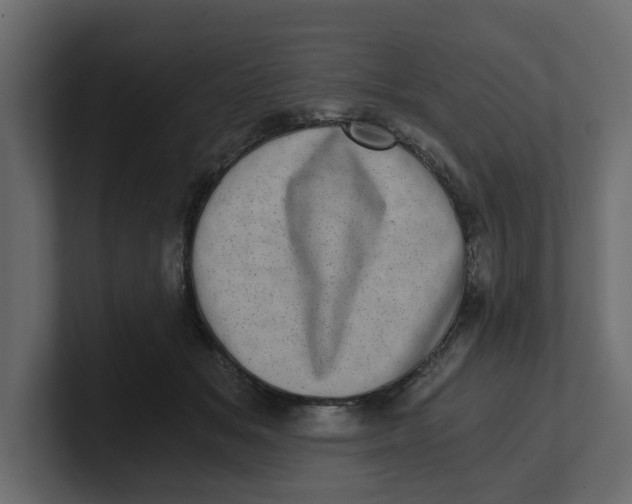 X0000100900509200807151121