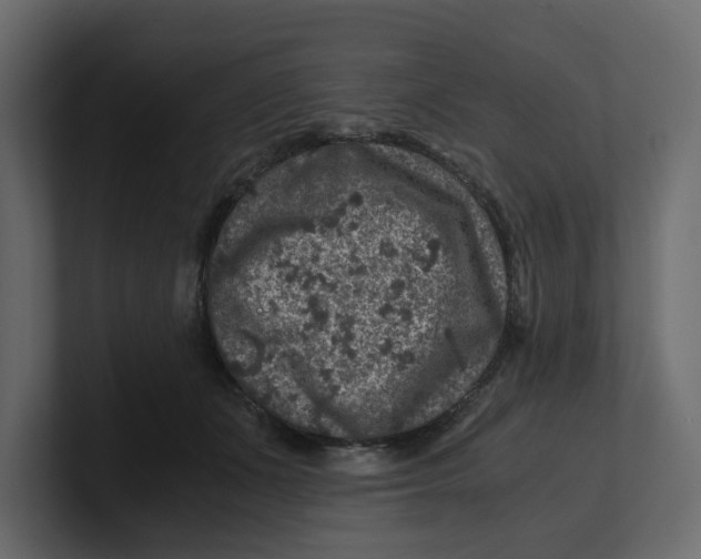 X0000100900511200807151120