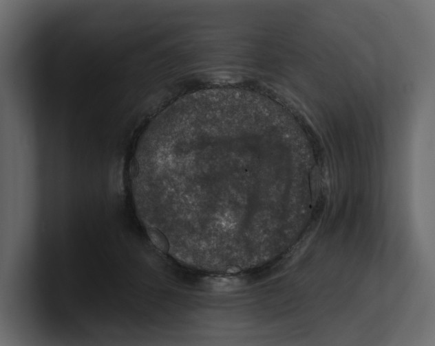 X0000100900512200807151120