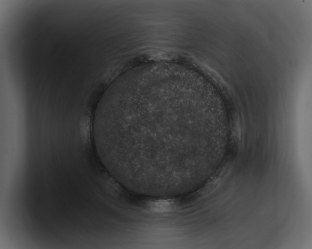 X0000100900513200807151120