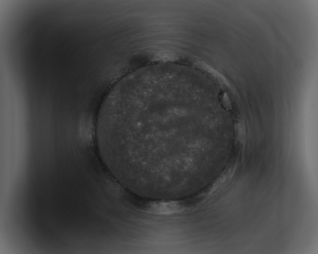 X0000100900517200807151120