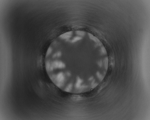 X0000100900519200807151120