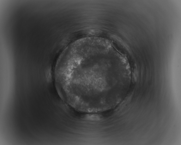 X0000100900520200807151120