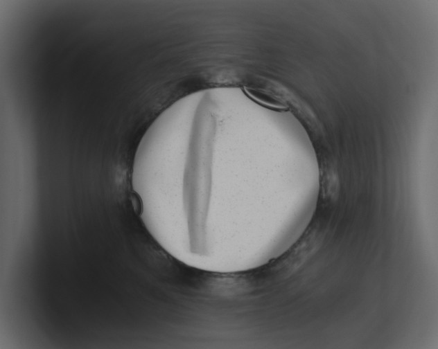 X0000100900521200807151120