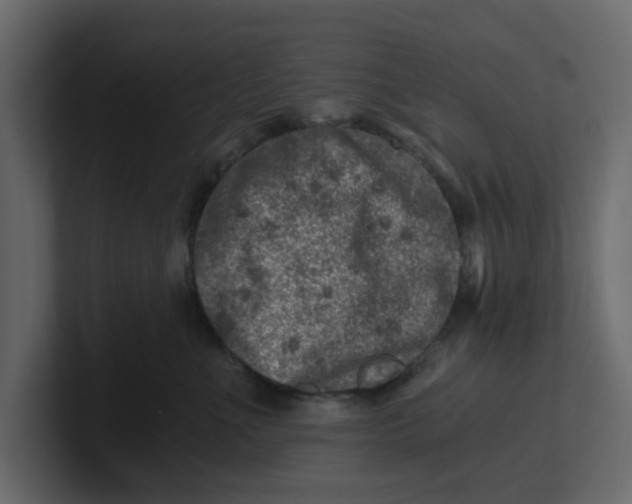 X0000100900523200807151120