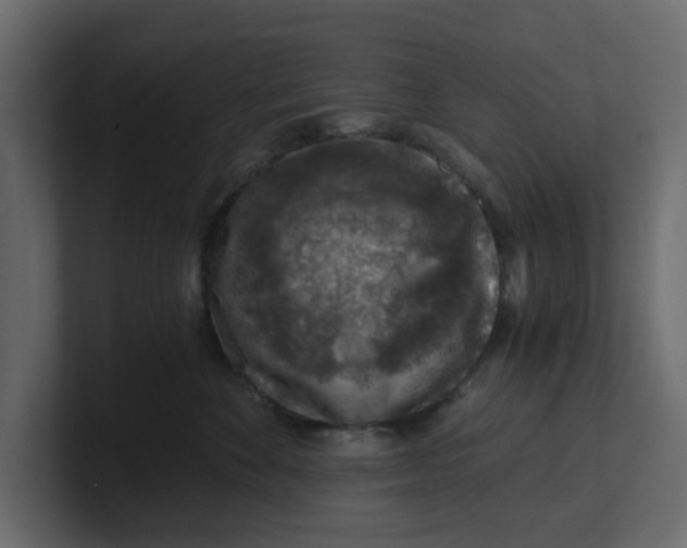 X0000100900524200807151120