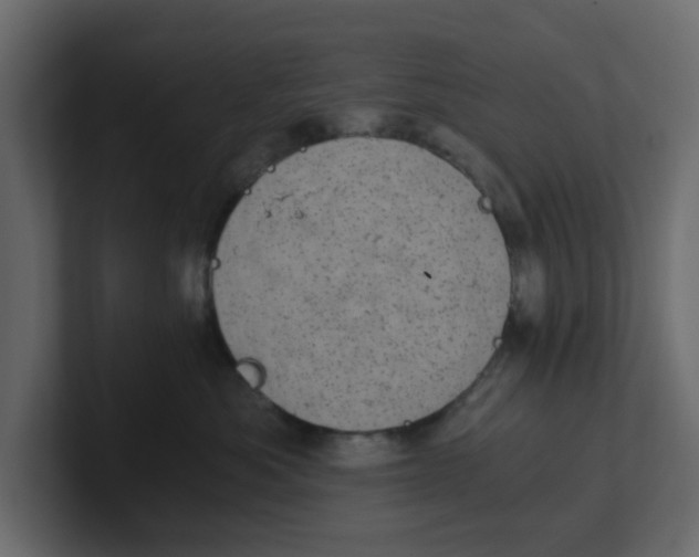 X0000100900525200807151120