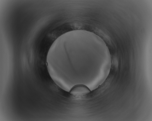 X0000100900526200807151120