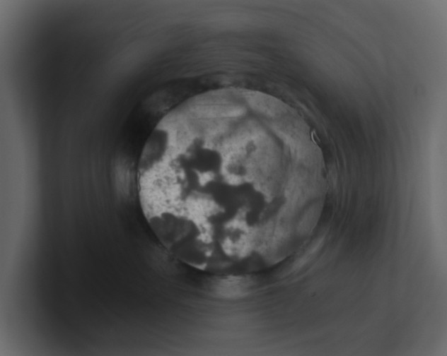 X0000100900527200807151120