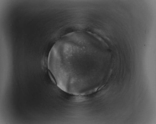 X0000100900528200807151120