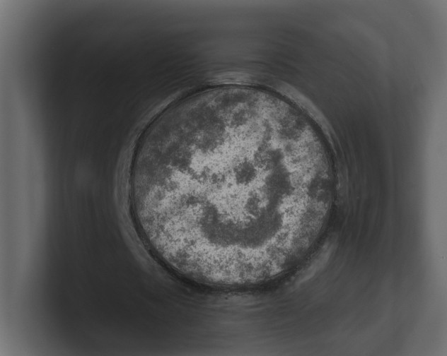 X0000100900529200807151120