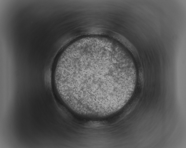 X0000100900534200807151120