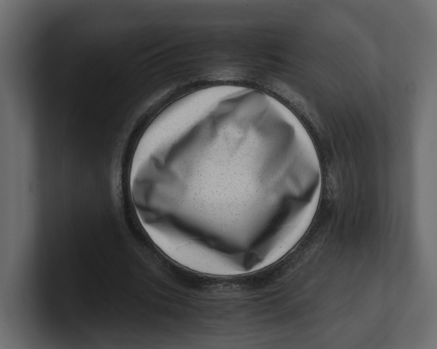 X0000100900535200807151120