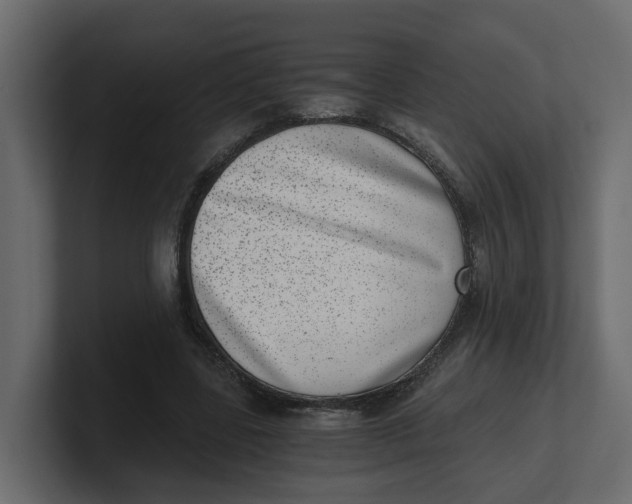 X0000100900539200807151120